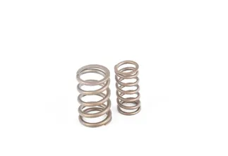 Ferrea Valve Spring S10148